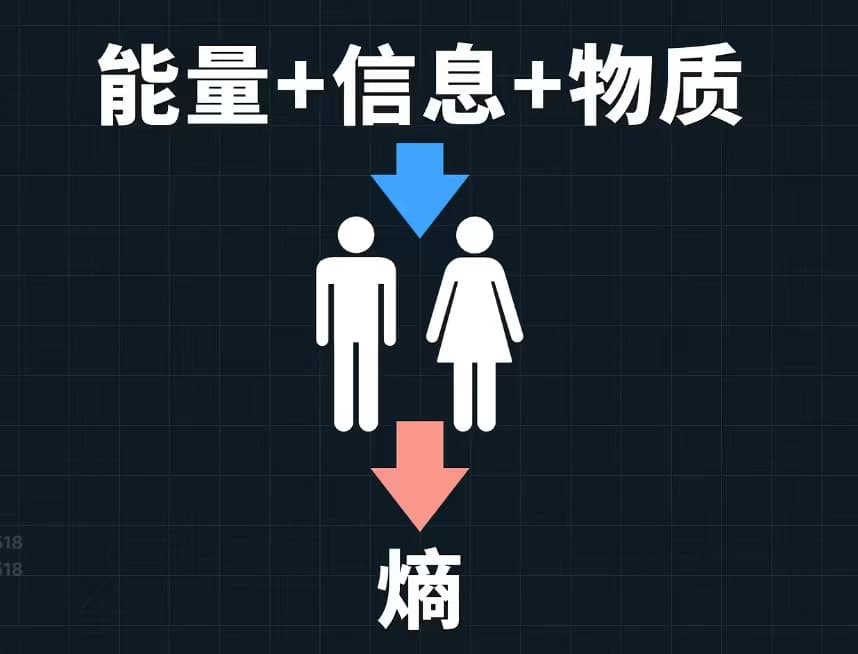 人体耗散结构