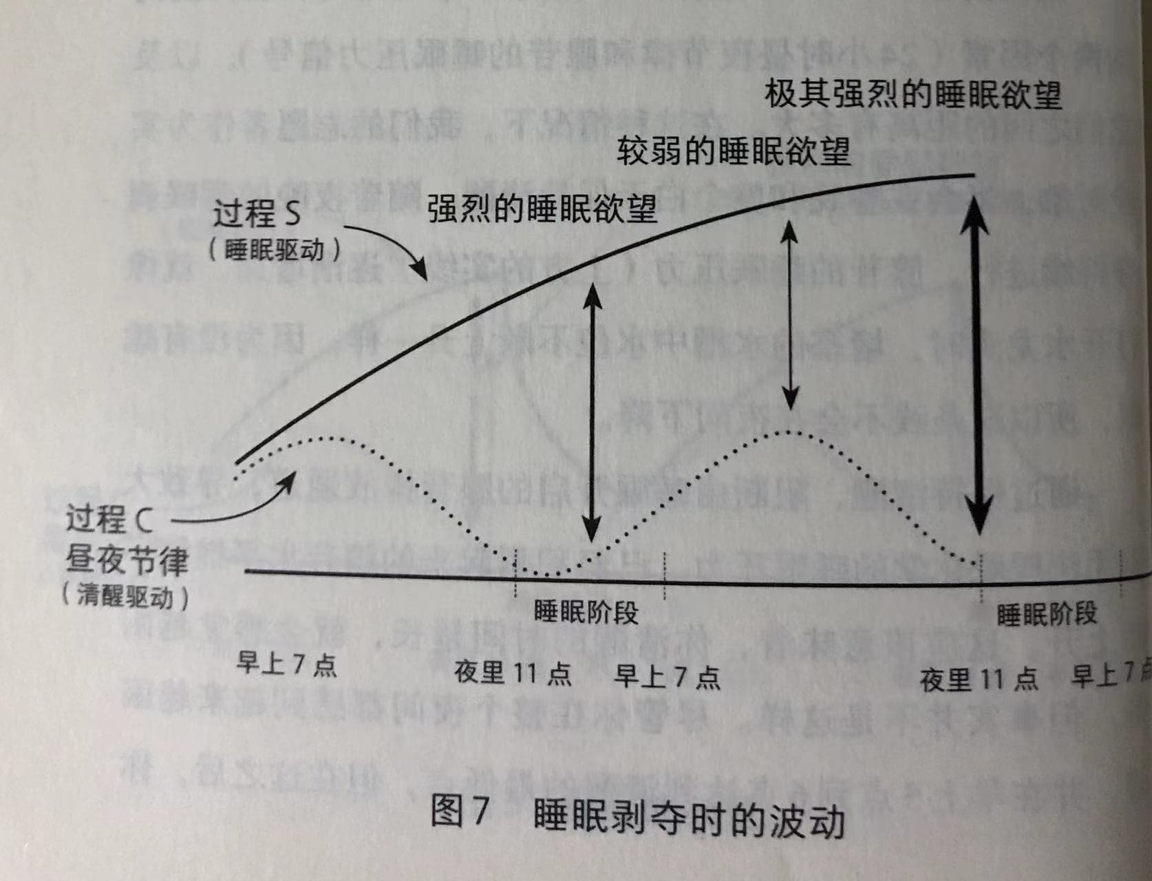 通宵时昼夜节律和腺苷周期